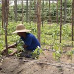 Agricultura familiar 1024x682 1
