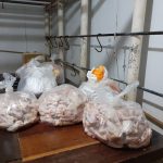 OPERACAO VISA MANAUS E ADAF SEMSA MANAUS 4