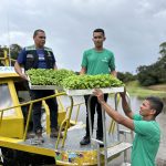 Prefeitura de Manaus em parceria com ONG fomenta a agricultura familiar na comunidade Uniao e Progresso 1 scaled 1