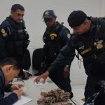 Prefeitura de Manaus recupera fiacao furtada no Terminal de Integracao da Cidade Nova