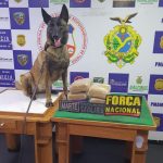 APREENSAO ARPAO FOTO DIVULGACAO SSP AM 1