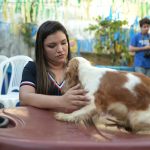 Joana Darc resgata corpo de animal morto em canil clandestino
