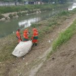 limpeza de igarape 1 1