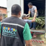 Prefeitura de Manaus distribuiu no primeiro trimestre cerca de 25 mil mudas de pitaya para fomentar a agricultura familiar 2 scaled 1