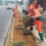Servico de paisagismo 3