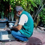 Maio 16 LIRAA AEDES AEGYPTI redimen 3