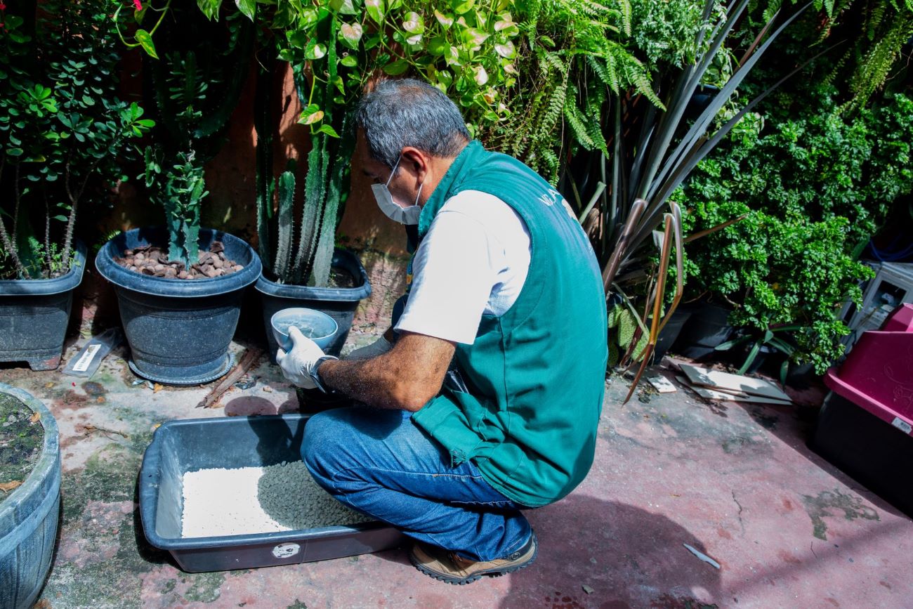 Maio 16 LIRAA AEDES AEGYPTI redimen 3