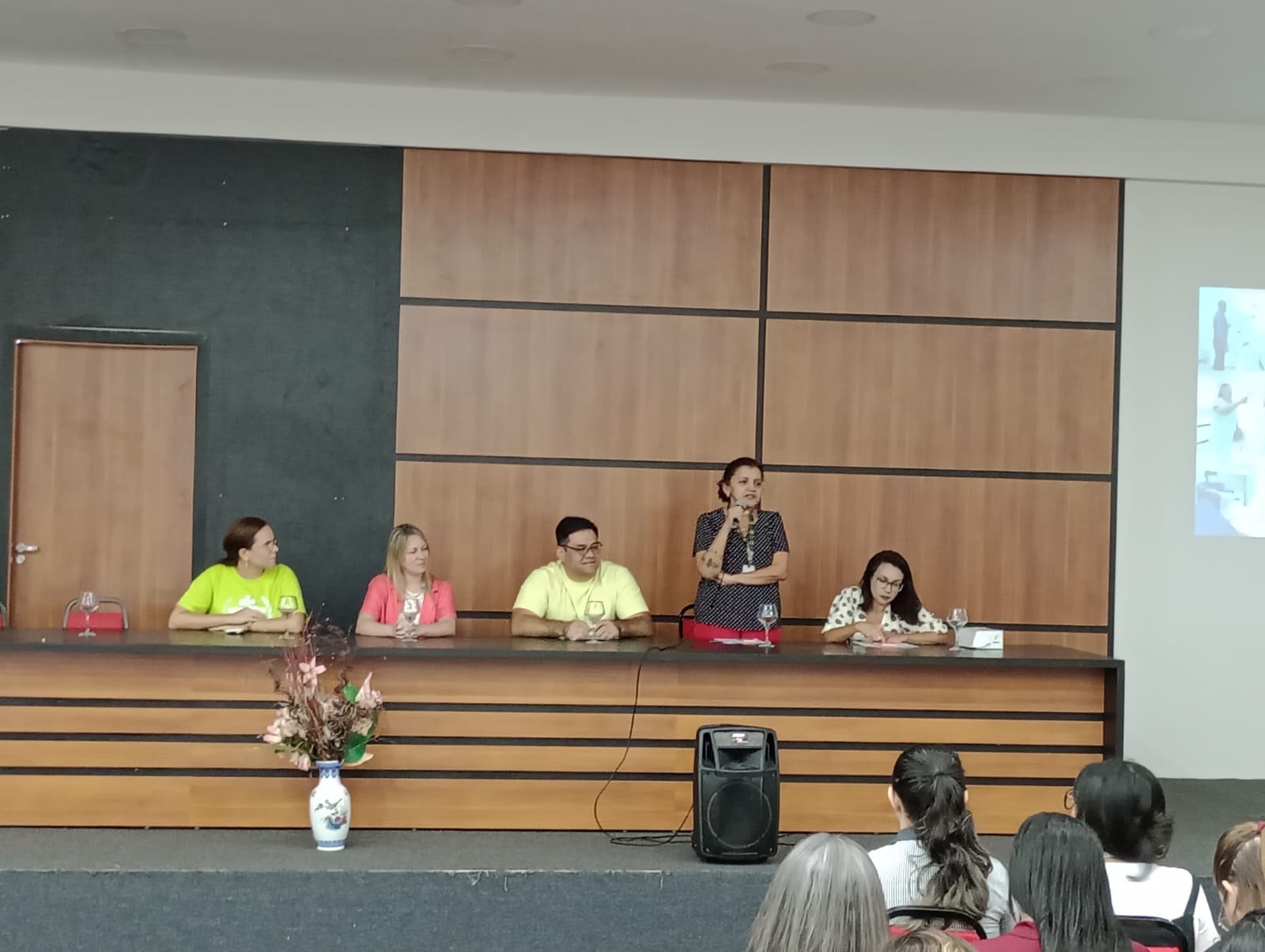 Maio 29 Evento Mortalidade Materna 2