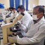 Maio 30 Curso malaria 2 scaled 1
