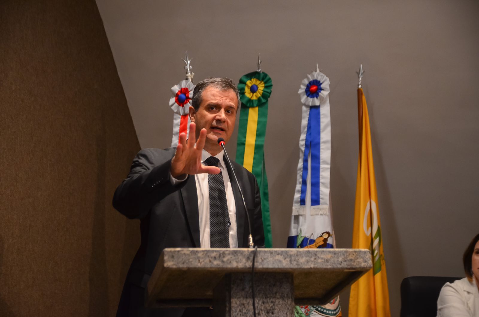 Vereador Marcelo Serafim