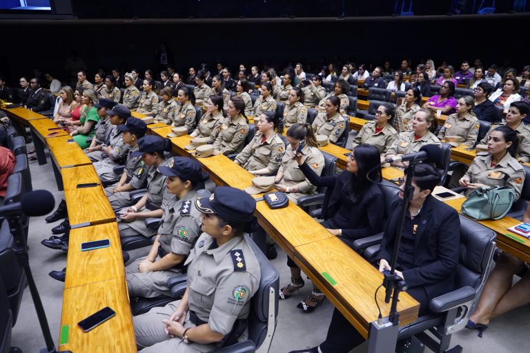 Mulheres policiais acompanham debate no plenário da Câmara