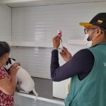 Castracao de caes e gatos Centro de Zoonose