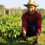 Sepror Diadoagricultor3 1024x683 1
