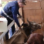ADAF 2 Adaf celebra 11 anos e lanca selo comemorativo Divulgacao Adaf