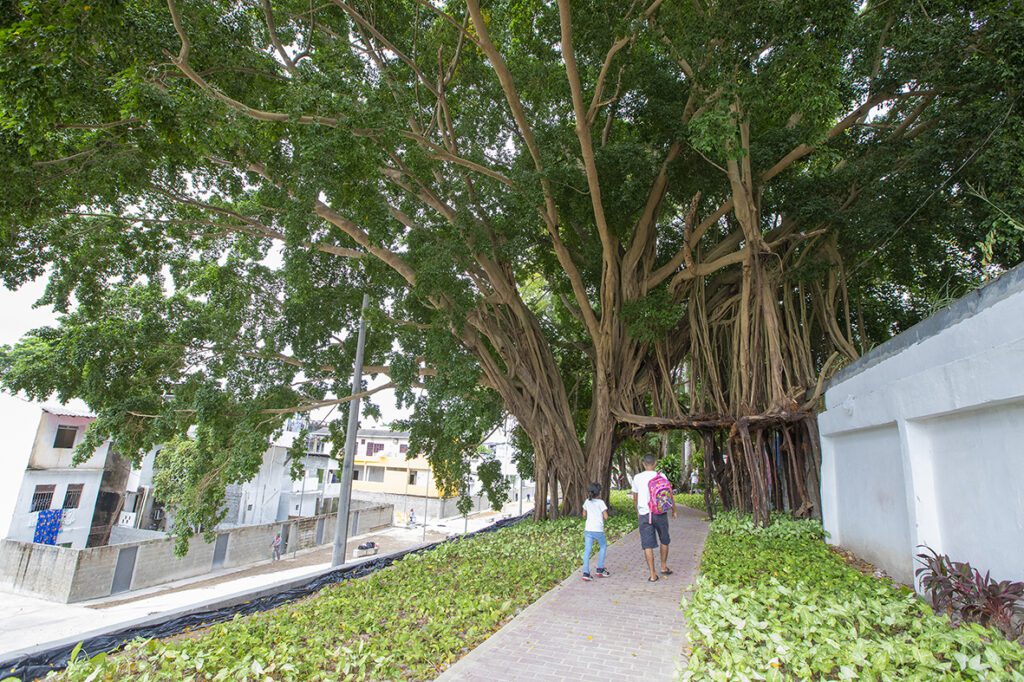 PARQUE DAS ARARAS TIAGO CORREA UGPE 02 1024x682 1