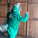 FVS 2 AGENTE DE ENDEMIAS FAZENDO BORRIFACAO INTRADOMICILIAR DIVULGACAO FVS
