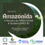 Amaznida