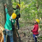 INVENTARIO FLORESTAL CANUTAMA 4 1024x576 1