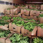 Educacao chamada publica para aquisacao de items da merenda escolar arquivo 2 2 1024x682 1
