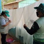 FVS RCP Estudo sobre impacto de mosquiteiros impregnados FOTO Divulgacao 2 1024x815 1