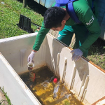FVS RCP LIRAa dengue FOTO Divulgacao FVS RCP