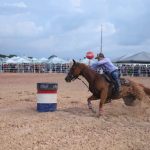 SEPROR 45a EXPOAGRO COMPETICAO 1024x683 1