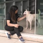 Deputada Joana Darc faz campanha para divulgacao de animais disponiveis para adocao no Amazonas