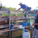 Idam 1 Bovinos 1024x682 1