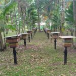 Idam Meliponicultores do Amazonas Divulgacao Idam2