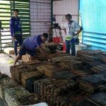 Idam intensifica regularizacao de extrativistas Divulgacao Idam 1024x576 1