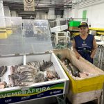 ADS Peixes para o consumo durante a Quaresma podem ser adquiridos nas feiras da ADS Feirante Suzy Pinheiro Foto Jhony Marques 1024x768 2