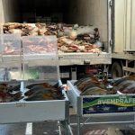 ADS Com investimento de R 55 milhoes Governo do Amazonas realiza doacao de 369 toneladas de pescado em acao solidaria na Semana Santa Foto por Divulgacao ADS 3 1024x768 FXHLit