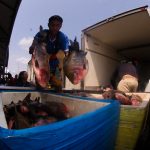 Doacao de pescado foto Arthus Castro. 2 1 yg9eKu
