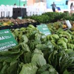Governo estimula setor Agricola 1024x682 A2cdqL