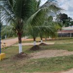 PCAM DIP DE PAUINI FOTO DIVULGACAO 577x435 RhDc5S