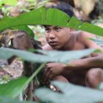cultura mostra olhar indigena divulgacao 1024x576 w0fJoN