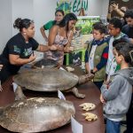 Expo Tartarugas 3 DXv3Ld