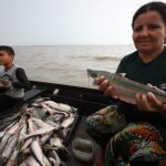 Pesca Mapara 1024x682 oWaGUQ
