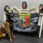 SSP AM BASE ARPAO FOTO DIVULGACAO SSP AM 1 577x435 bq5ets