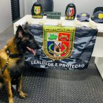 SSP AM BASE ARPAO FOTO DIVULGACAO SSP AM 2 1024x731 SgNGH0
