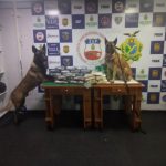 SSP AM BASE ARPAO FOTO SSP AM 577x435 SgiITt