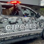 SSP AM CAES DE FARO FOTO CARLOS SOARE SSP AM 1024x576 DQcGJG