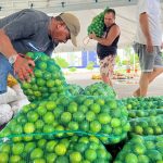 Sepror aquisicao de alimentos pelo PAA 1 1024x768 ArzydC