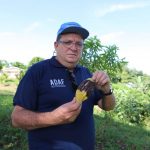 ADAF PORTARIA MONILIASE URUCURITUBA MANAUS PRESIDENTE ADAF JOSE OMENA DIVULGACAO ADAF 1024x683 2