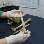 ANTROPOLOGIA FORENSE FOTOS CARLOS SOARES SSP AM 2 577x435 XyAMXf