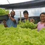 Idam Palestras sobre plantio de hortalicas em Manaus Governo Presente Fotos Arquivo 1