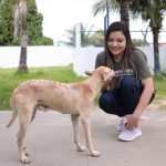 Lei de deputada Joana Darc institui julho como mes dedicado para prevencao de zoonoses no Amazonas 1024x681 KFjBIx