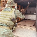 PMAM RESGATE DE ANIMAL SIVESTRE CPAMB 768x1024 1