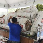 Sepror PAA INDIGENA MANAUS RUY NERY 2 1024x574 1