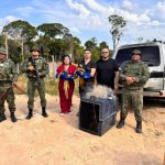 Apos denuncia de deputada Joana Darc sobre trafico de animais silvestres homem e detido e duas araras sao resgatadas no Ramal do Brasileirinho 1024x768 AAiML0